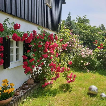 Ferienwohnung Im Dreiländereck - DOM PRZY TRZECH GRANICACH Löschney Exterior foto