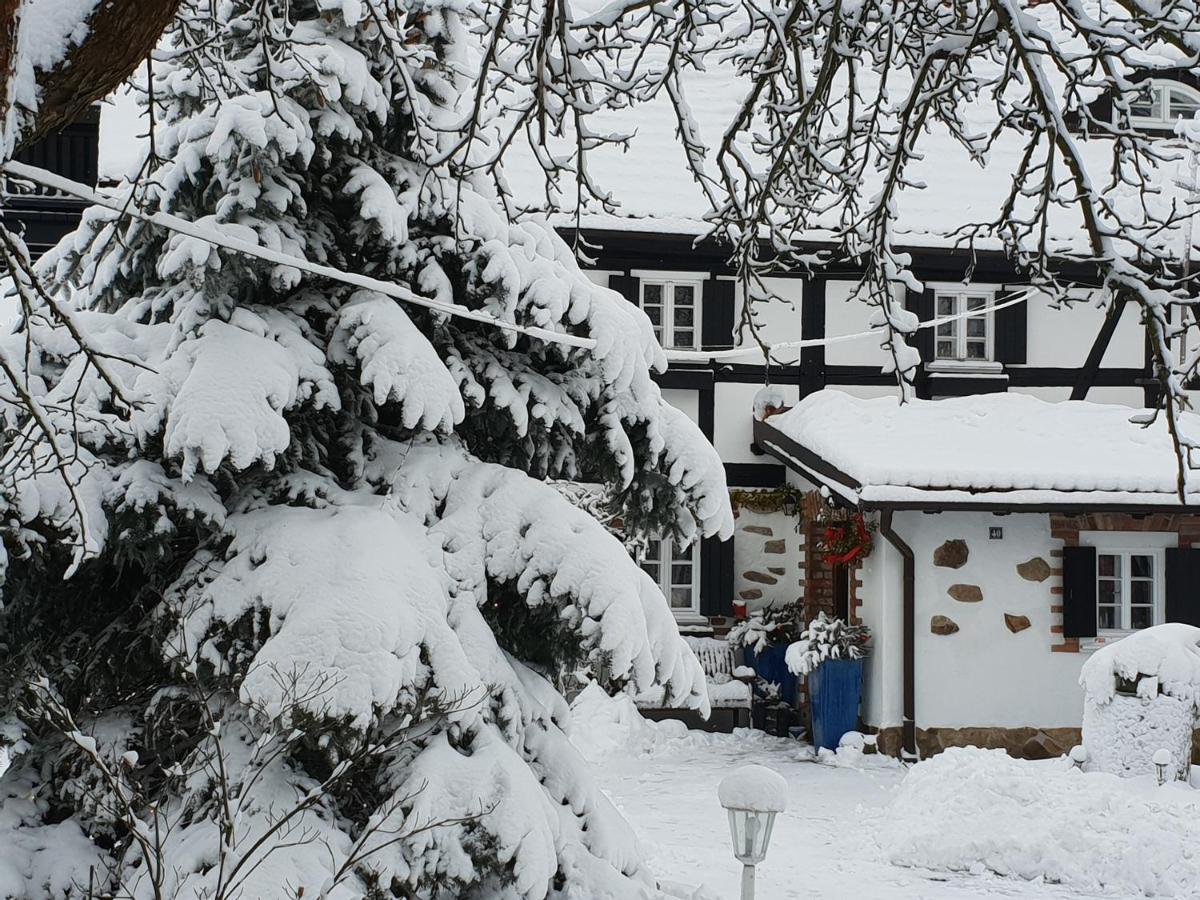 Ferienwohnung Im Dreiländereck - DOM PRZY TRZECH GRANICACH Löschney Exterior foto